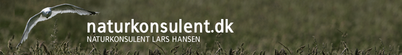 logo for naturkonsulent.dk